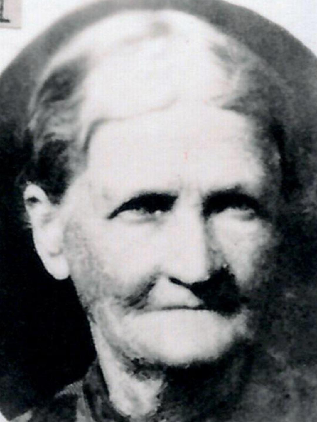 Amanda Jane Tippets (1848 - 1936) Profile